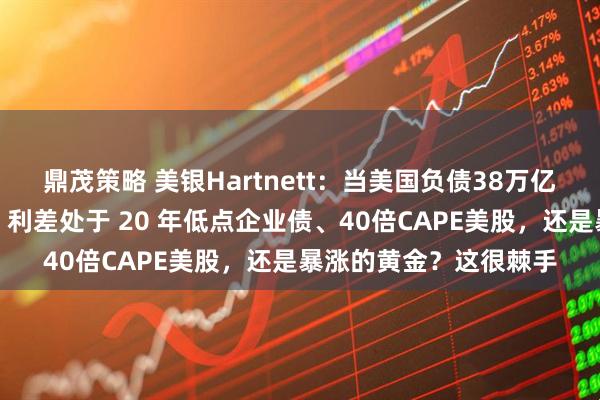 鼎茂策略 美银Hartnett:当美国负债38万亿美元时,该买入美债、利差处于 20 年低点企业债、40倍CAPE美股,还是暴涨的黄金?这很棘手