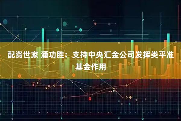 配资世家 潘功胜：支持中央汇金公司发挥类平准基金作用