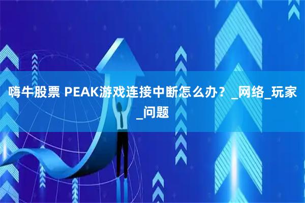 嗨牛股票 PEAK游戏连接中断怎么办？_网络_玩家_问题