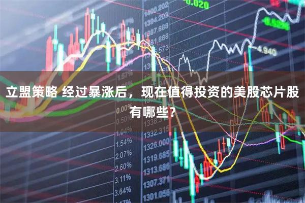 立盟策略 经过暴涨后,现在值得投资的美股芯片股有哪些?